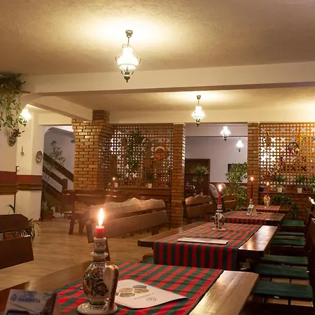 Pensiunea Si Restaurant Erdo Panzió *